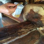 Log Repair 2