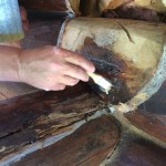 Log Repair 1