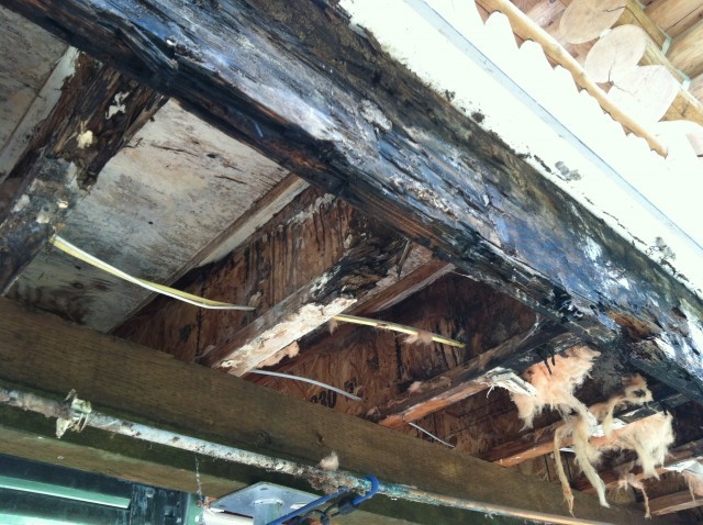 Significant structural damage caused by water