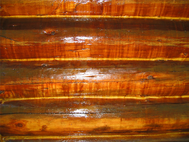 Log Treatments for moisture and pests