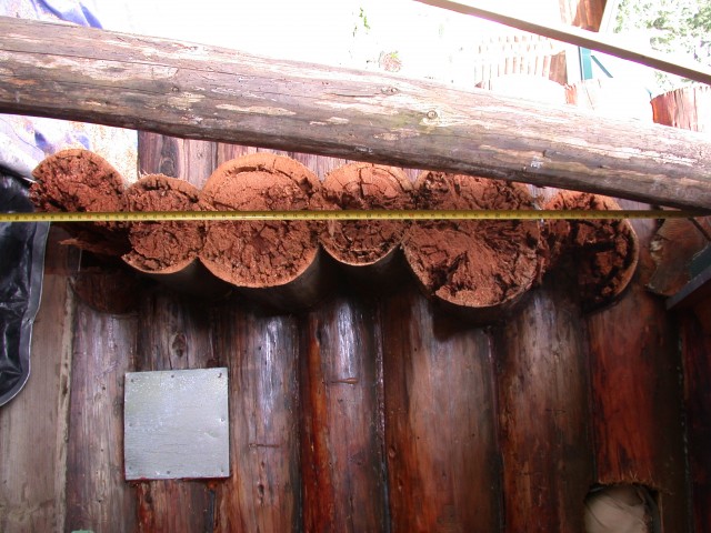 Log restoration project 21