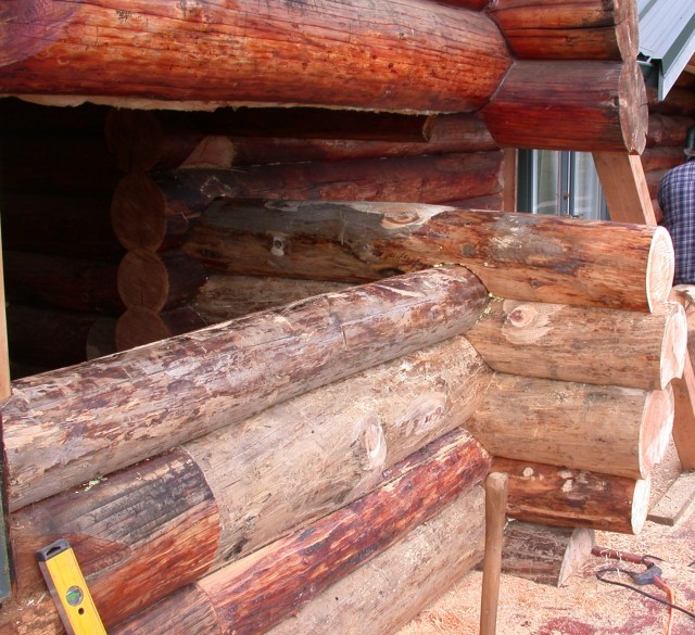 Log restoration project 37