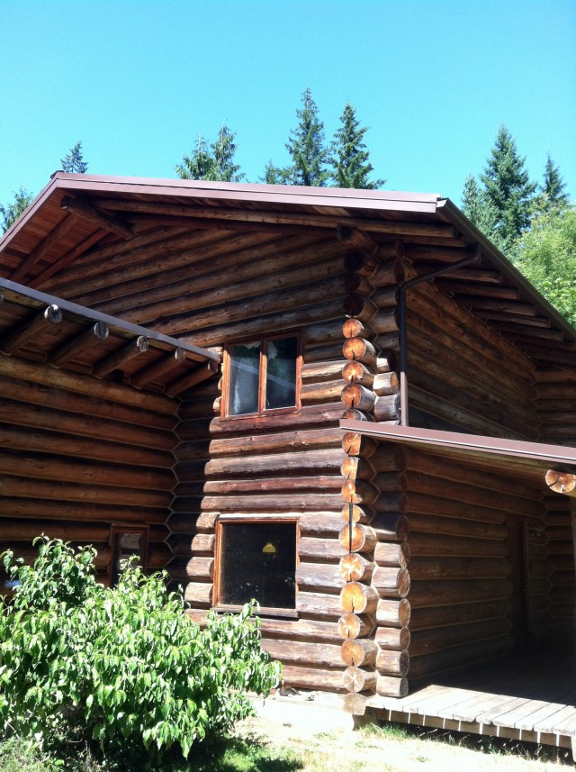 Log House Before Prepared for Stain